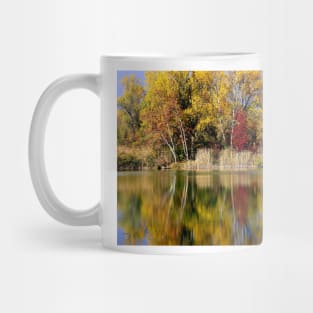 Reflections Mug